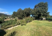 Casa amb terreny en venda a la España, Los Barrios, ref.: TR337072 foto