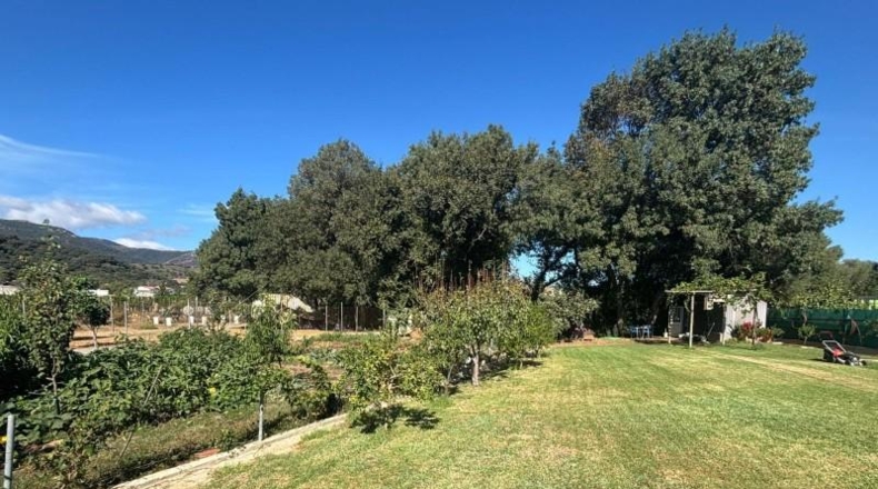 Cádiz - Los Barrios - 1200m2