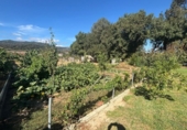 Casa amb terreny en venda a la España, Los Barrios, ref.: TR337072 foto