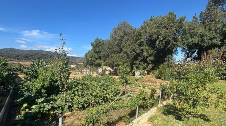 Cádiz - Los Barrios - 1200m2