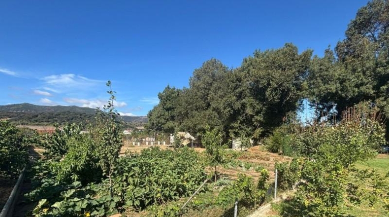Cádiz - Los Barrios - 1200m2