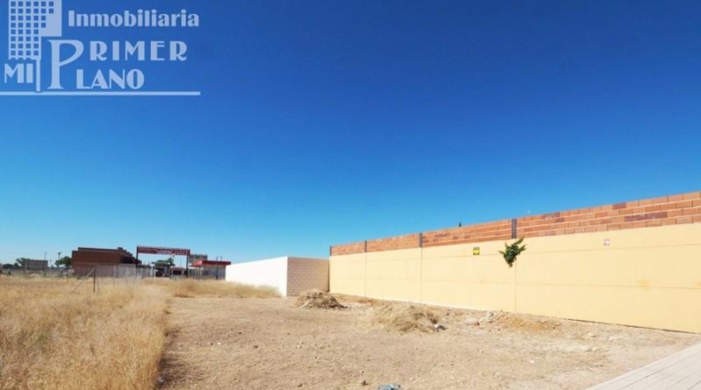 Ciudad Real - Tomelloso - 230m2