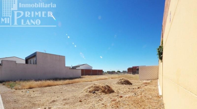 Ciudad Real - Tomelloso - 230m2
