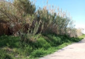 Sòl urbà en venda a la España, Castelló de la Plana, ref.: TR237768 foto