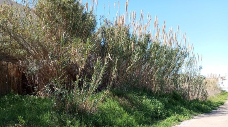 Castellon - Castellón de la Plana - 514m2