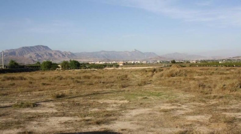 Alicante - Aspe - 13109m2