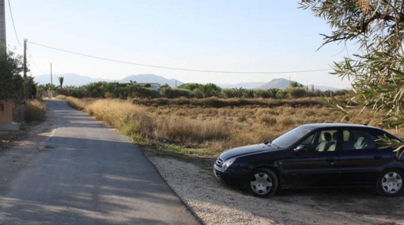 Alicante - Aspe - 13109m2