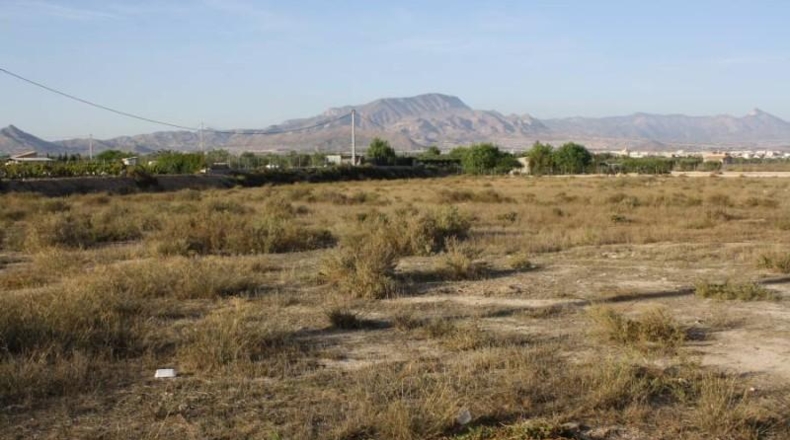 Alicante - Aspe - 13109m2