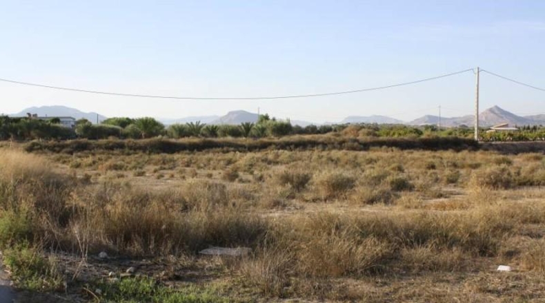 Alicante - Aspe - 13109m2