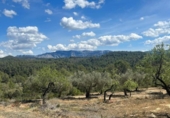 Chalet independiente con terreno en venta en la España, Horta de Sant Joan, ref: TR302960 foto