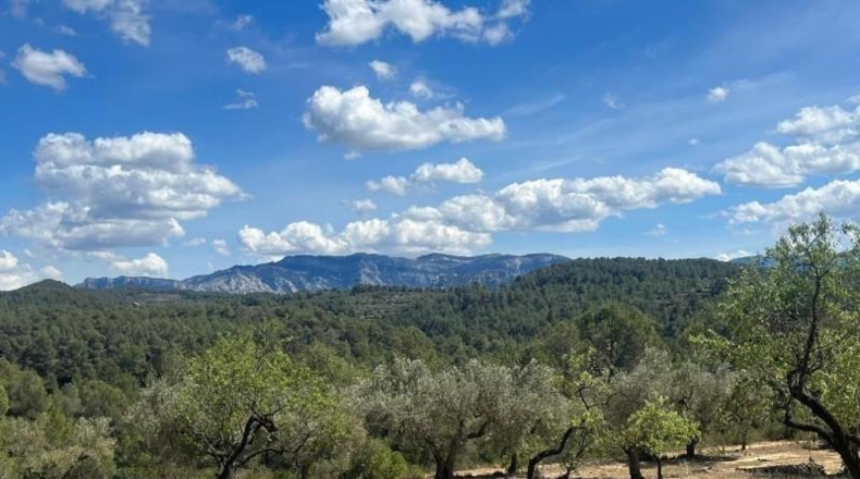 Tarragona - Орта-де-Сант-Жоан - 205515m2