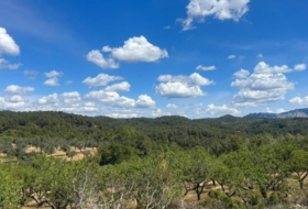 Horta de Sant Joan 205515&nbsp;m²