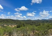 Chalet independiente con terreno en venta en la España, Horta de Sant Joan, ref: TR302960 foto