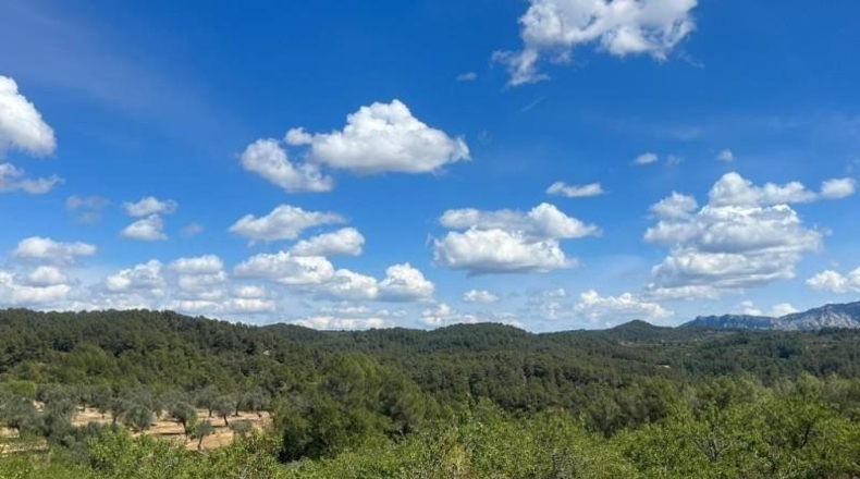 Tarragona - Орта-де-Сант-Жоан - 205515m2