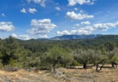 Chalet independiente con terreno en venta en la España, Horta de Sant Joan, ref: TR302960 foto