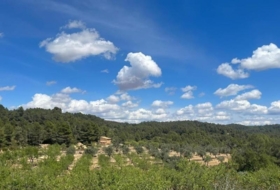 Horta de Sant Joan 205515&nbsp;m²