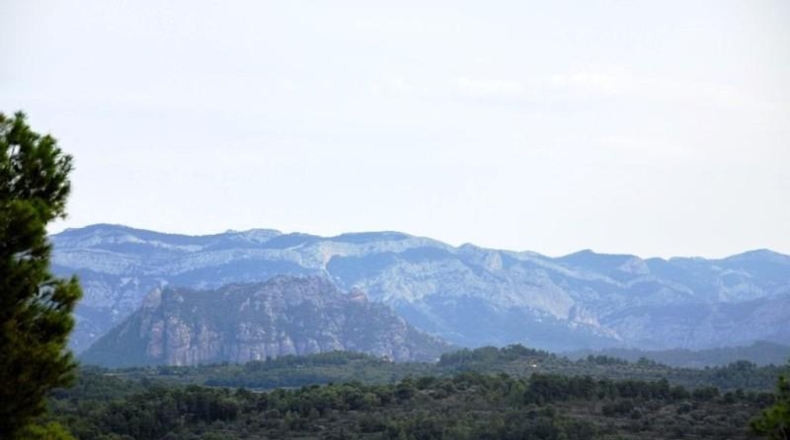 Tarragona - Орта-де-Сант-Жоан - 205515m2