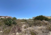 House with land for sale on España, Alberic, ref: TR348770 photo