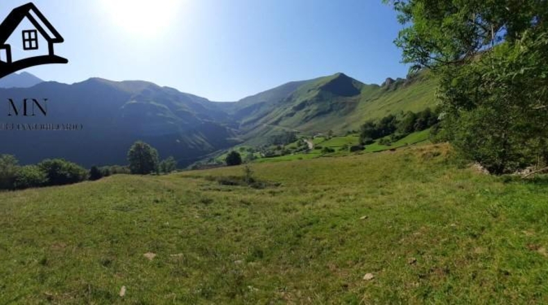 Cantabria - Vega de Pas - 13341m2