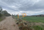 Non-developable land for sale on España, Huércal-Overa, ref: TR375885 photo