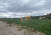 Non-developable land for sale on España, Huércal-Overa, ref: TR375885 photo