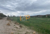 Non-developable land for sale on España, Huércal-Overa, ref: TR375885 photo