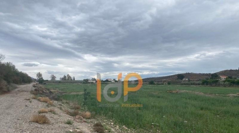 Almería - Huércal-Overa - 20000m2