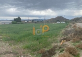 Non-developable land for sale on España, Huércal-Overa, ref: TR375885 photo
