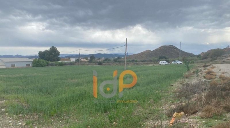 Almería - Huércal-Overa - 20000m2