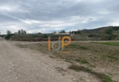 Non-developable land for sale on España, Huércal-Overa, ref: TR375885 photo