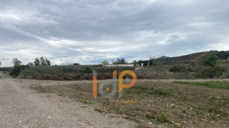 Almería - Huércal-Overa - 20000m2