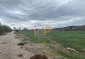 Non-developable land for sale on España, Huércal-Overa, ref: TR375885 photo