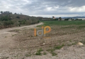 Non-developable land for sale on España, Huércal-Overa, ref: TR375885 photo