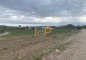 Non-developable land for sale on España, Huércal-Overa, ref: TR375885 photo