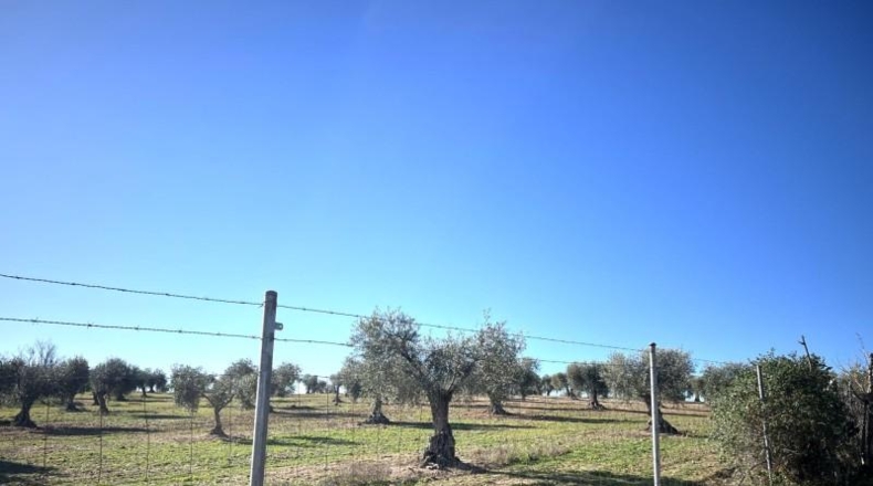 Badajoz - Don Benito - 5986m2