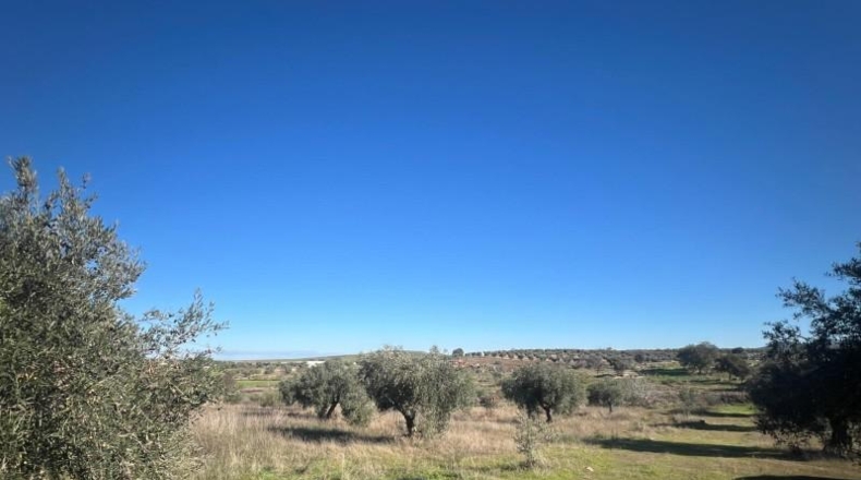 Badajoz - Don Benito - 5986m2