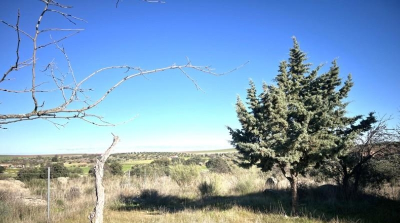 Badajoz - Don Benito - 5986m2