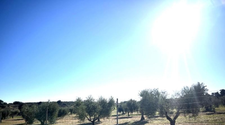 Badajoz - Don Benito - 5986m2