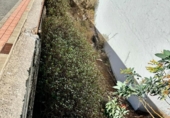 Parcela urbanizable en venta en la España, Ingenio, ref: TR113878 foto