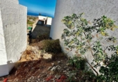 Parcela urbanizable en venta en la España, Ingenio, ref: TR113878 foto