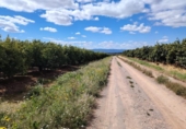 Земля, подлежащая урбанизации на продажу у города Llíria Фото
