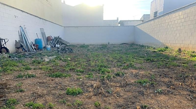 Badajoz - Almendralejo - 250m2