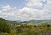 Non-developable land for sale on España, Xaló, ref: TR113623 photo