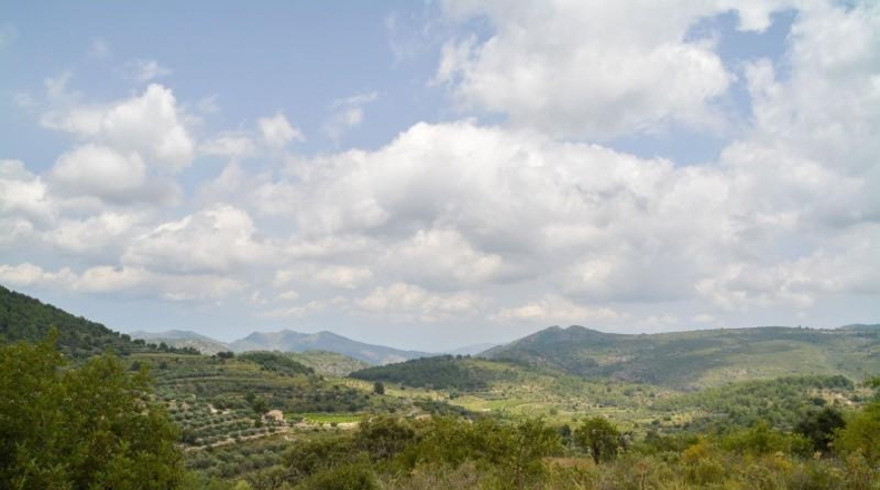 Alicante - Jalón - 17700m2