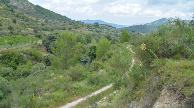 Alicante - Jalón - 17700m2
