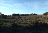 Parcel·la urbanitzable en venda a la España, Molina de Segura, ref.: TR114511 foto