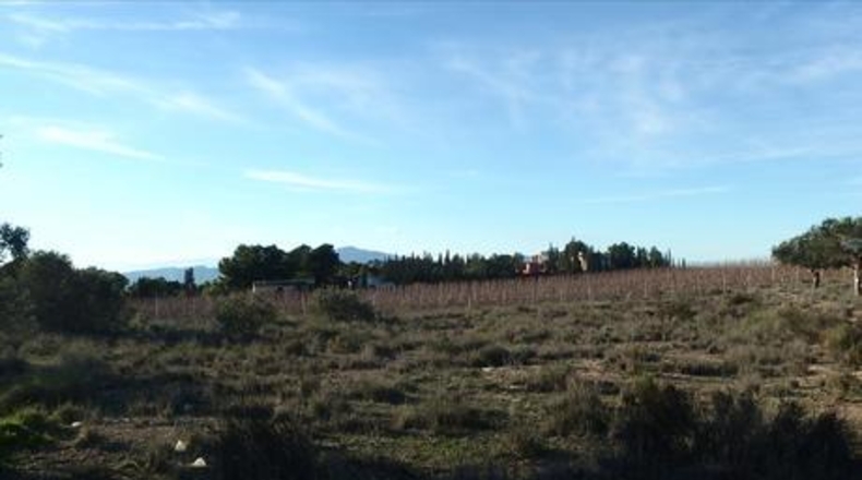 Múrcia - Molina de Segura - 940m2