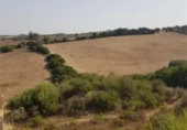 Terreny no urbanitzable en venda a la España, Vejer de la Frontera, ref.: TR119562 foto