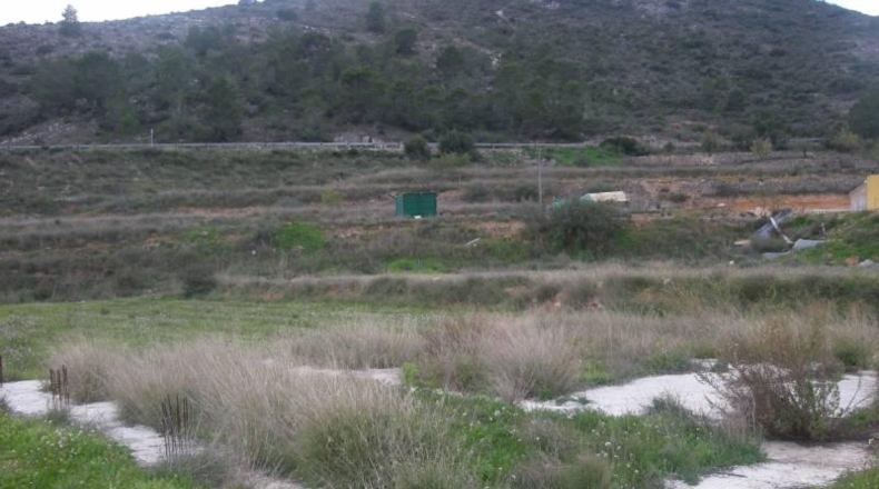 Alicante - Aspe - 10300m2
