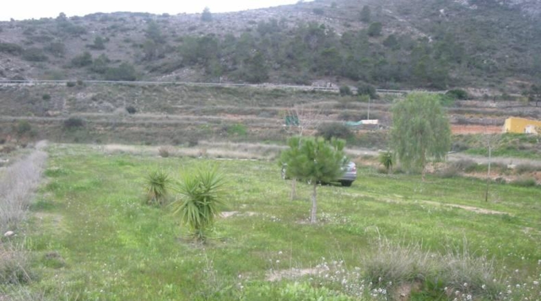 Alicante - Aspe - 10300m2